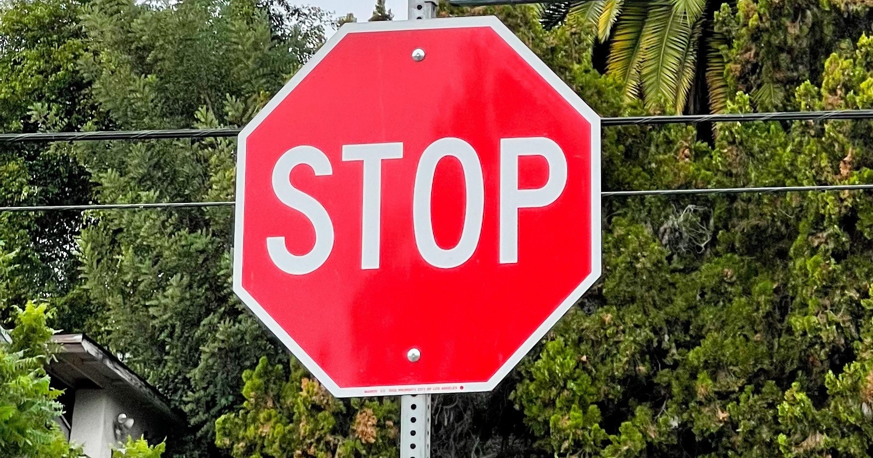 Call for safe crossings for Redhead Public School Main Image