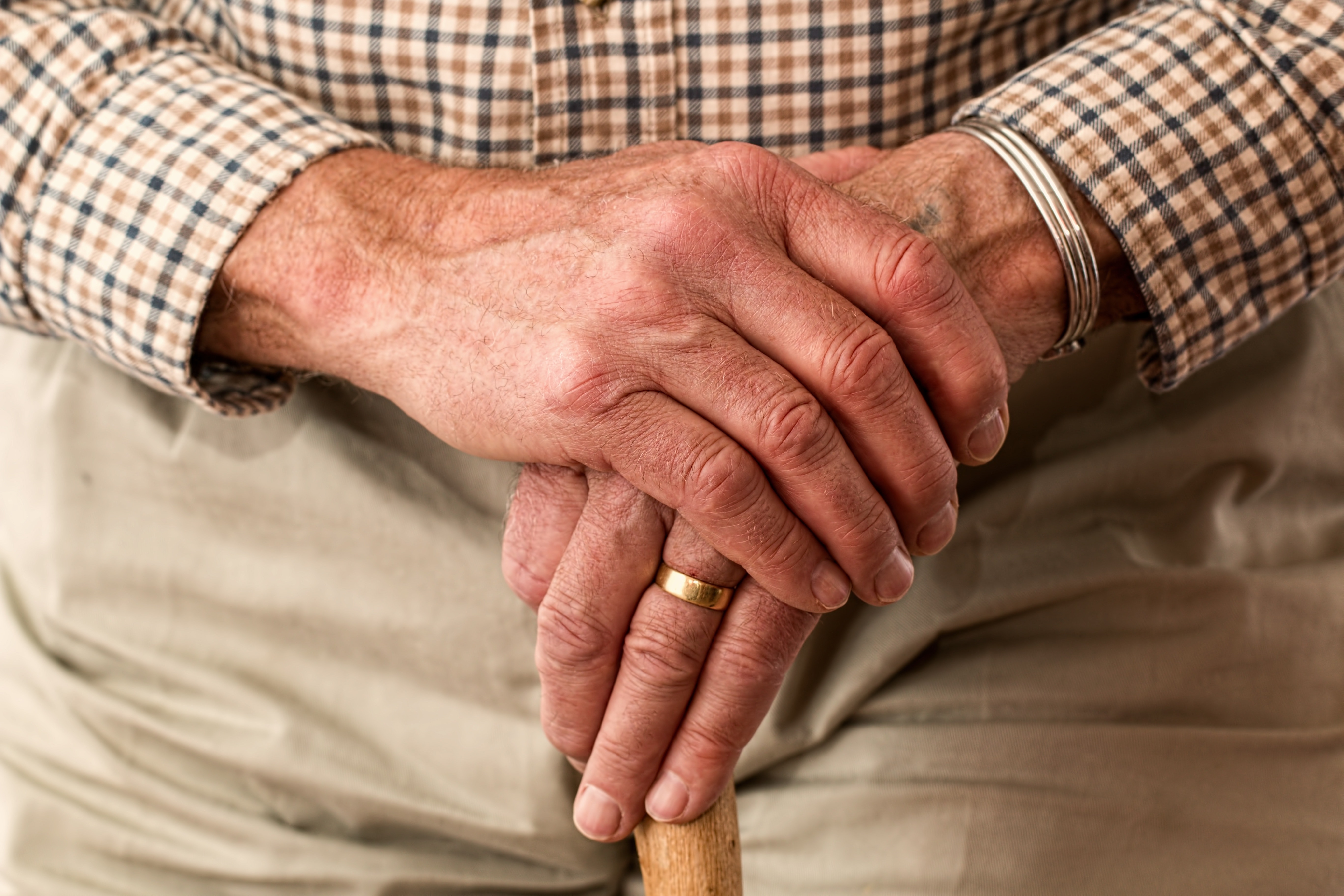 NSW Government failing to address Elder Abuse Main Image